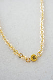 Taylor Reese x NLJC Crest Chain Necklace